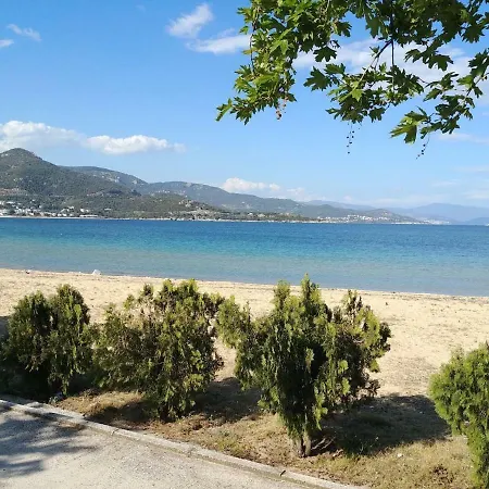 Kyriaki 200m From The Sandy